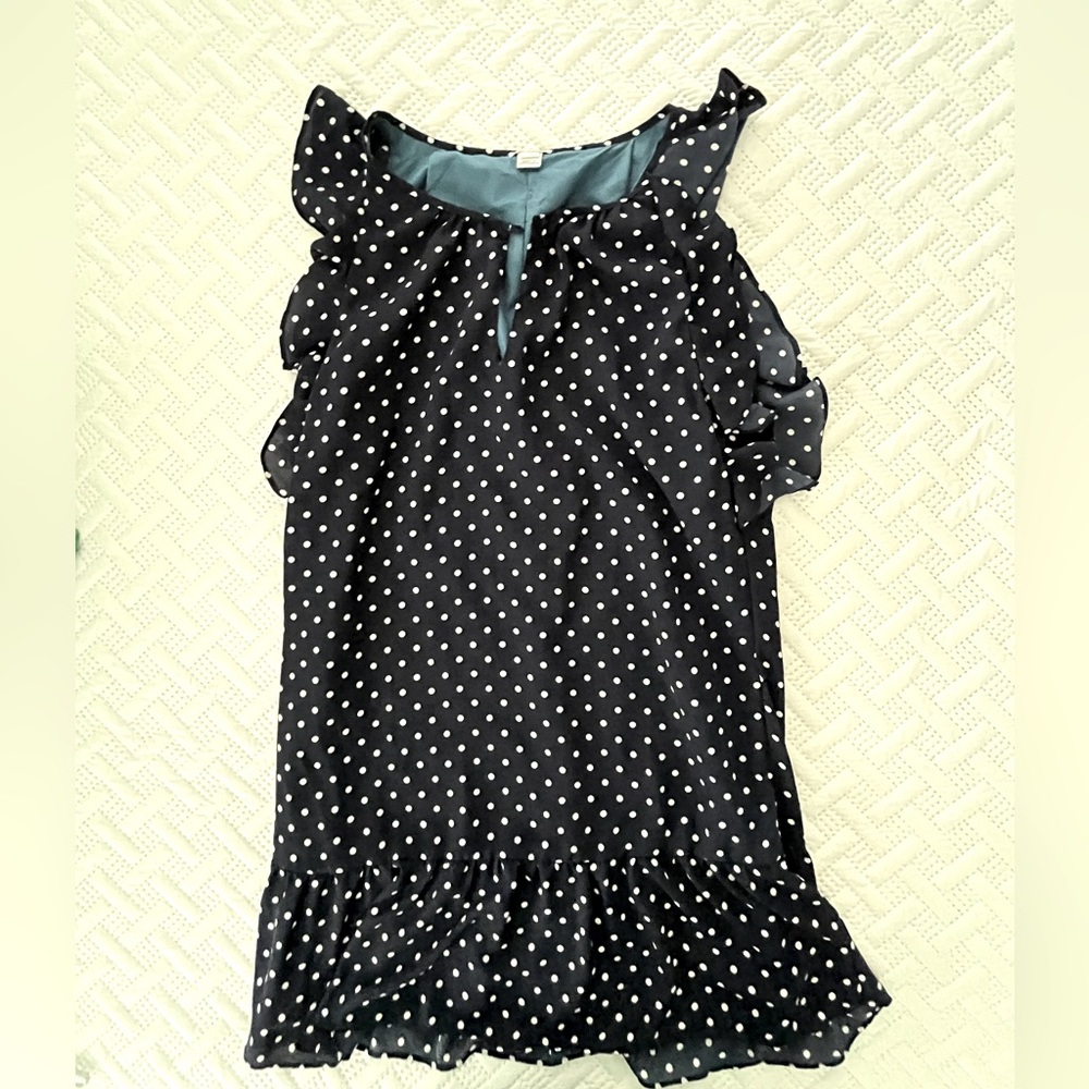 JCrew Polka Dot Dress